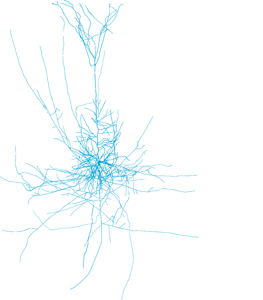 Microelectrode array gif