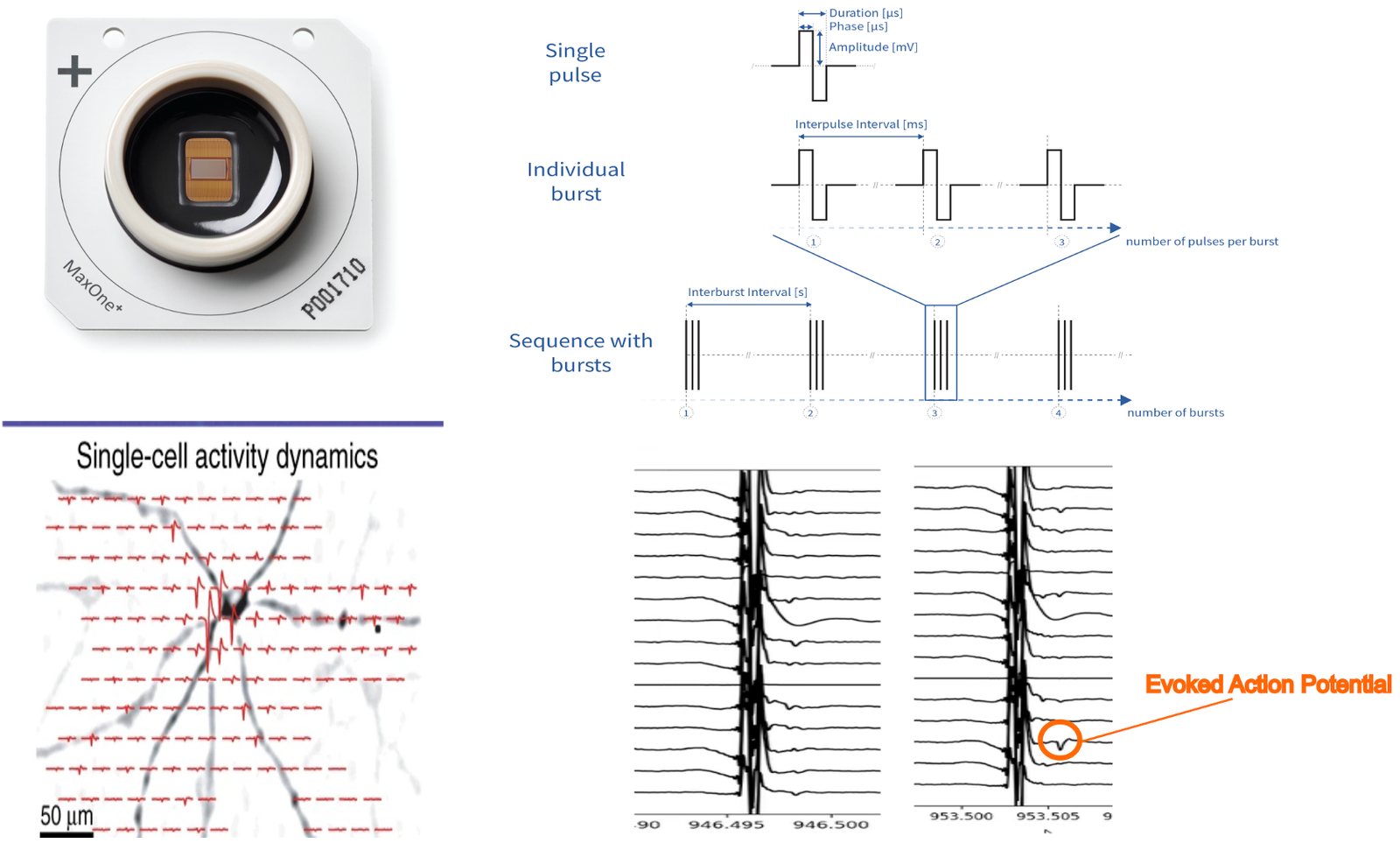 Microelectrode array gif